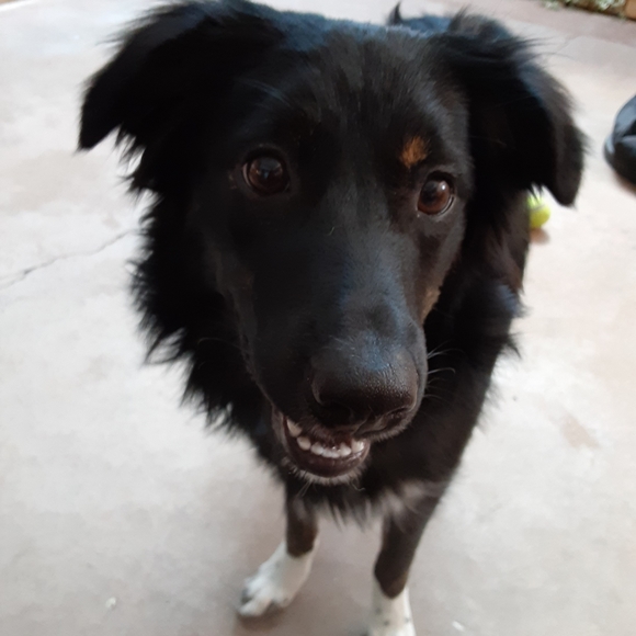 MY BOOKMARK- HarvestOfLove. - Picture 5 of 8